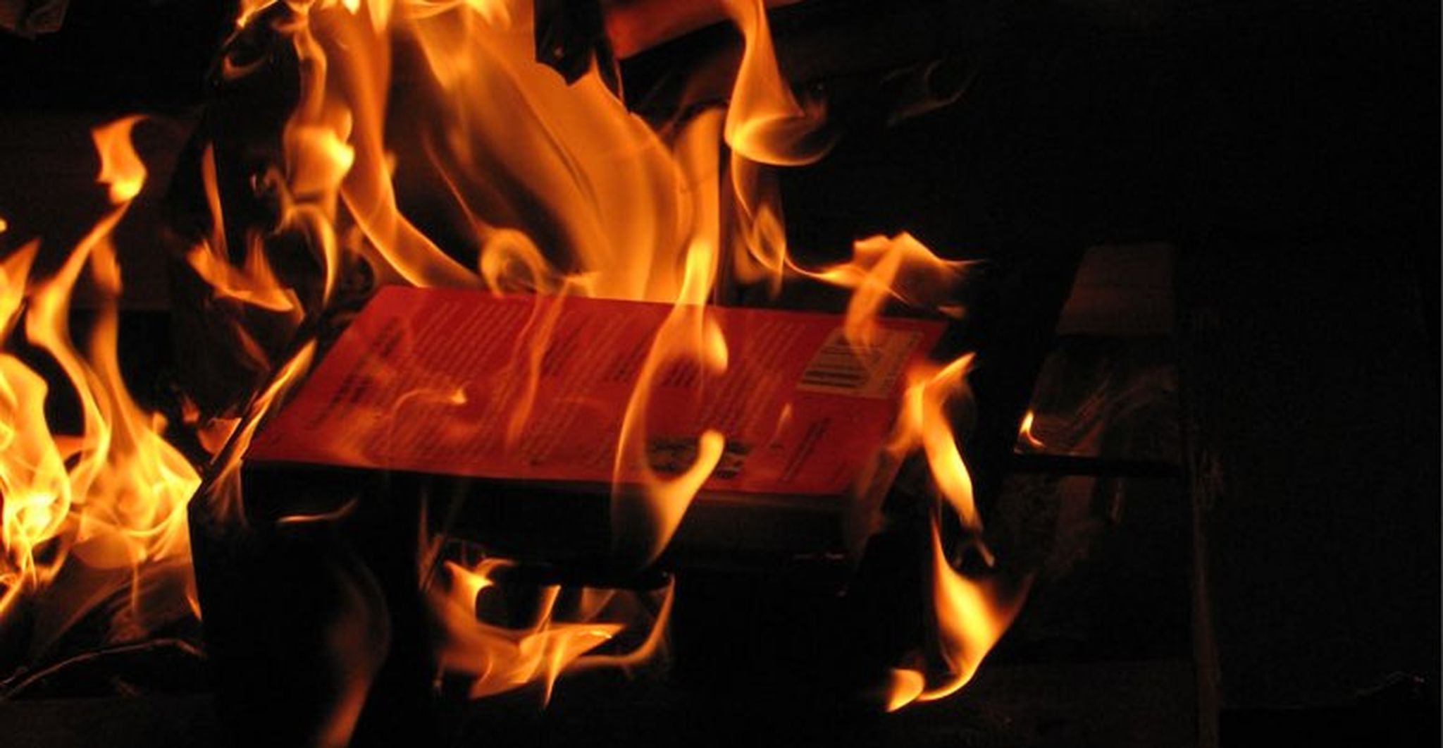 Homepage article image