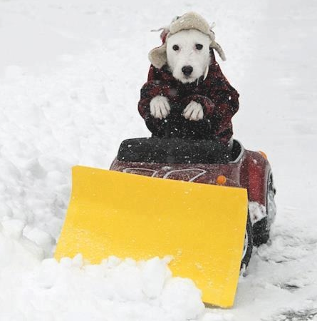 Snowplow driver fired for viral video says he was doing his job The