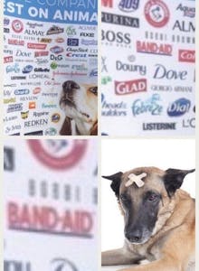 band-aid dog meme animal testing