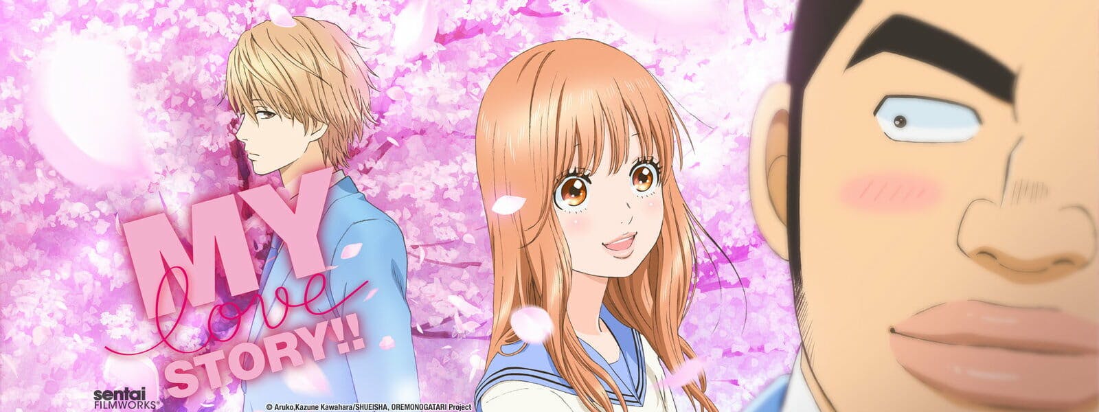 romance anime my love story
