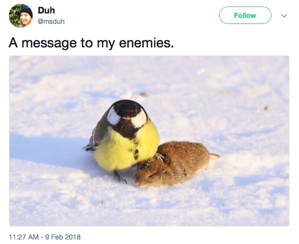 'a message to my enemies' chubby bird stepping on small rodent