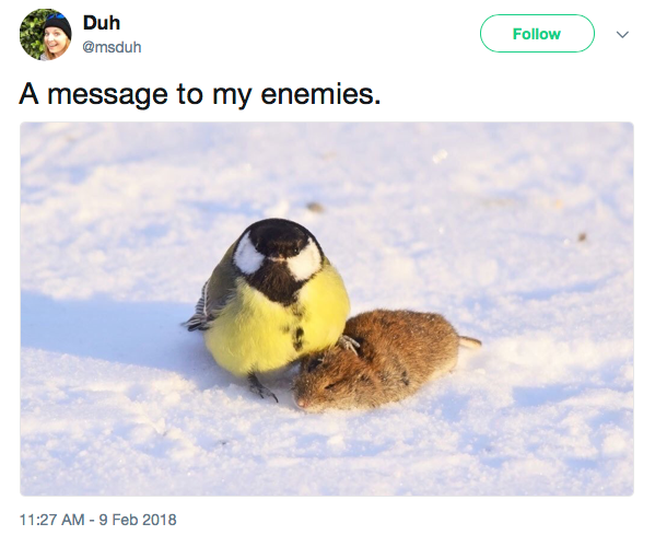 'a message to my enemies' chubby bird stepping on small rodent