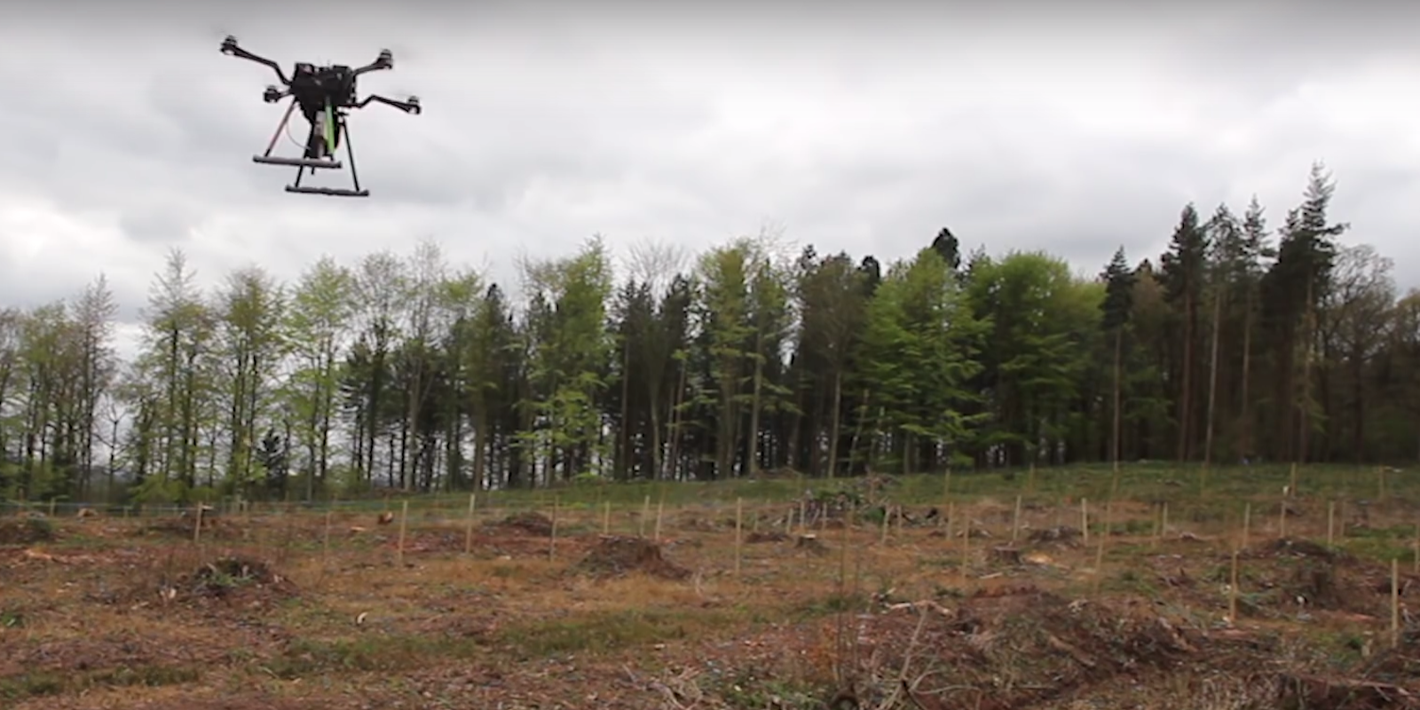 drones planting trees