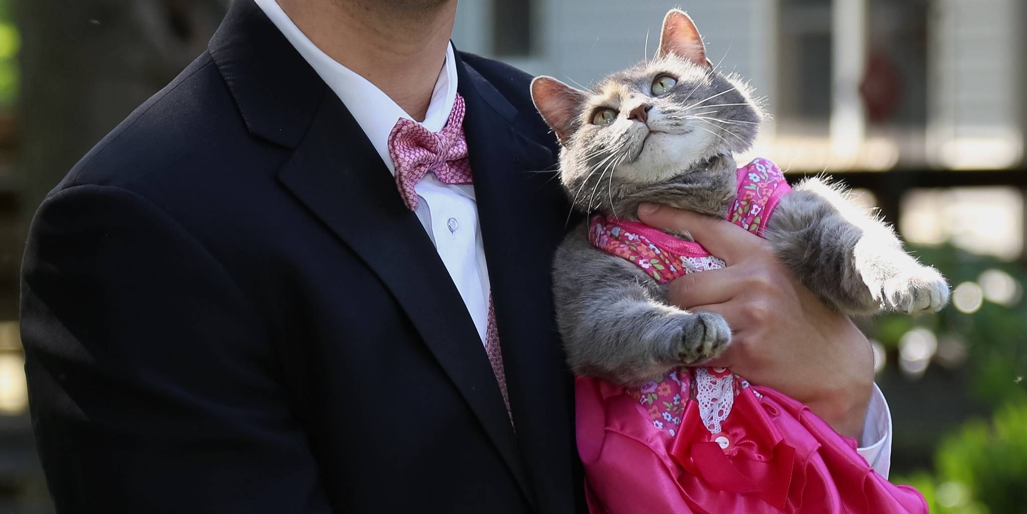 Guy takes his cat to prom for truly enchanted evening