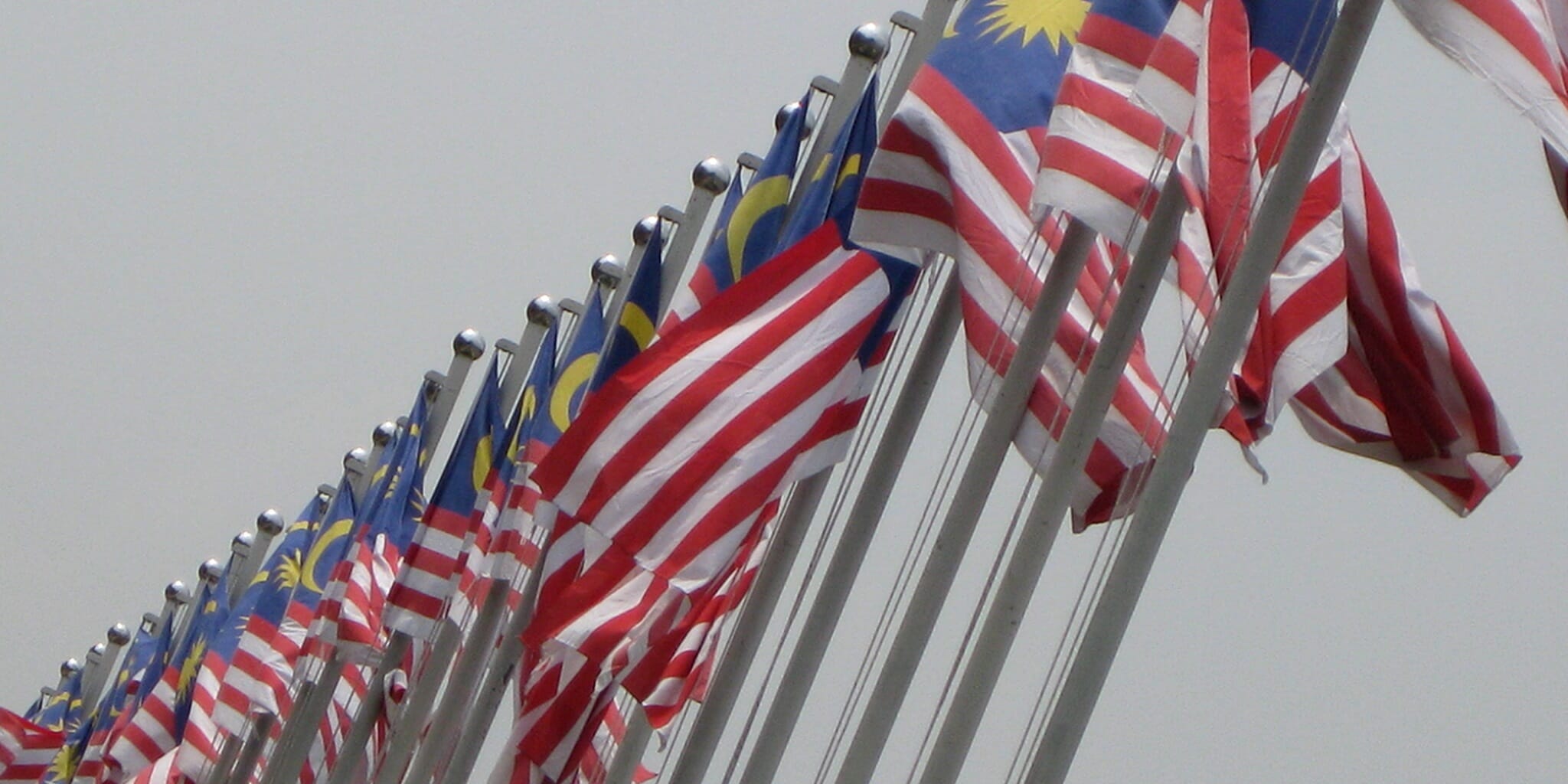 Homepage article image