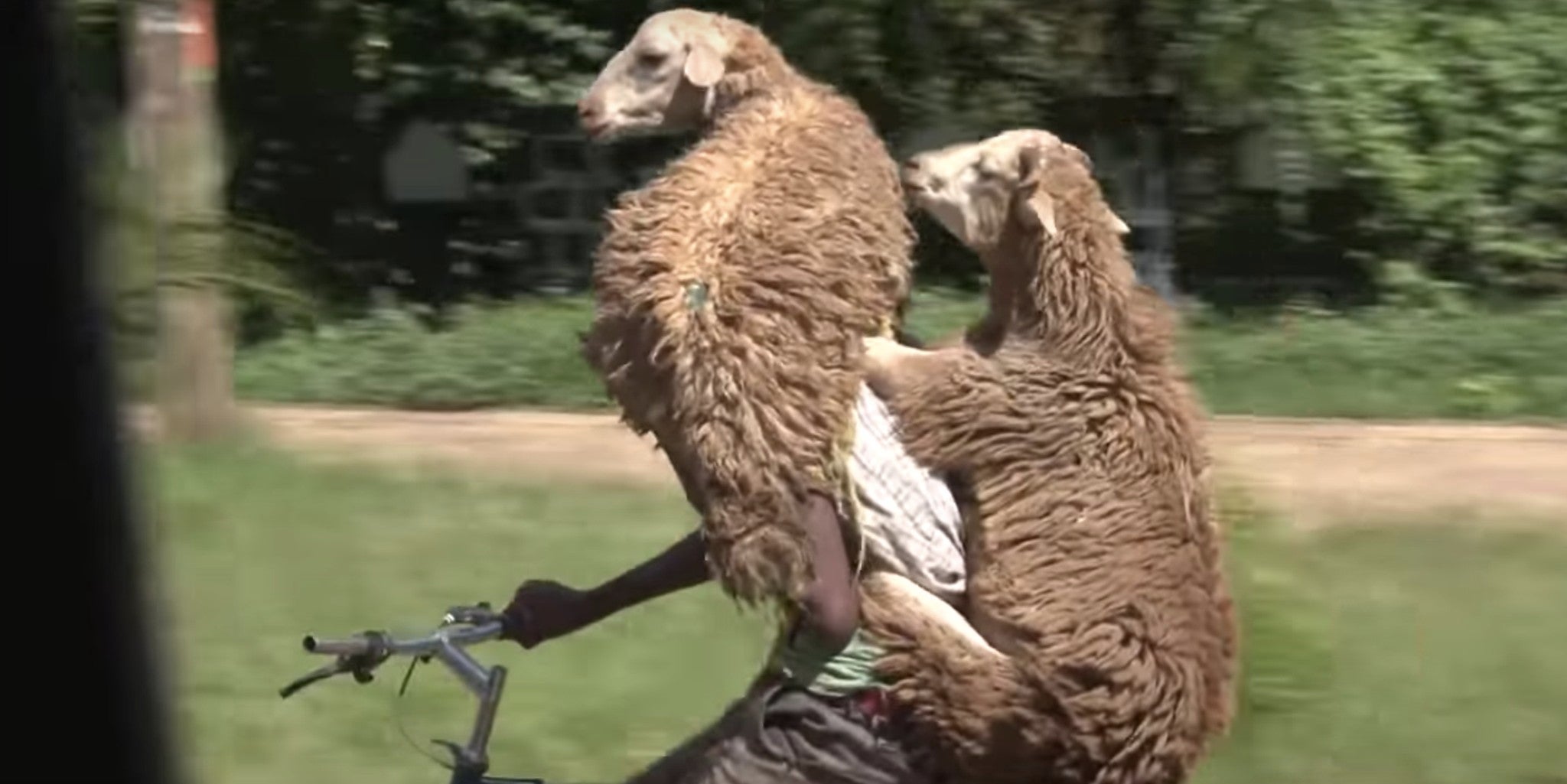 Homepage article image