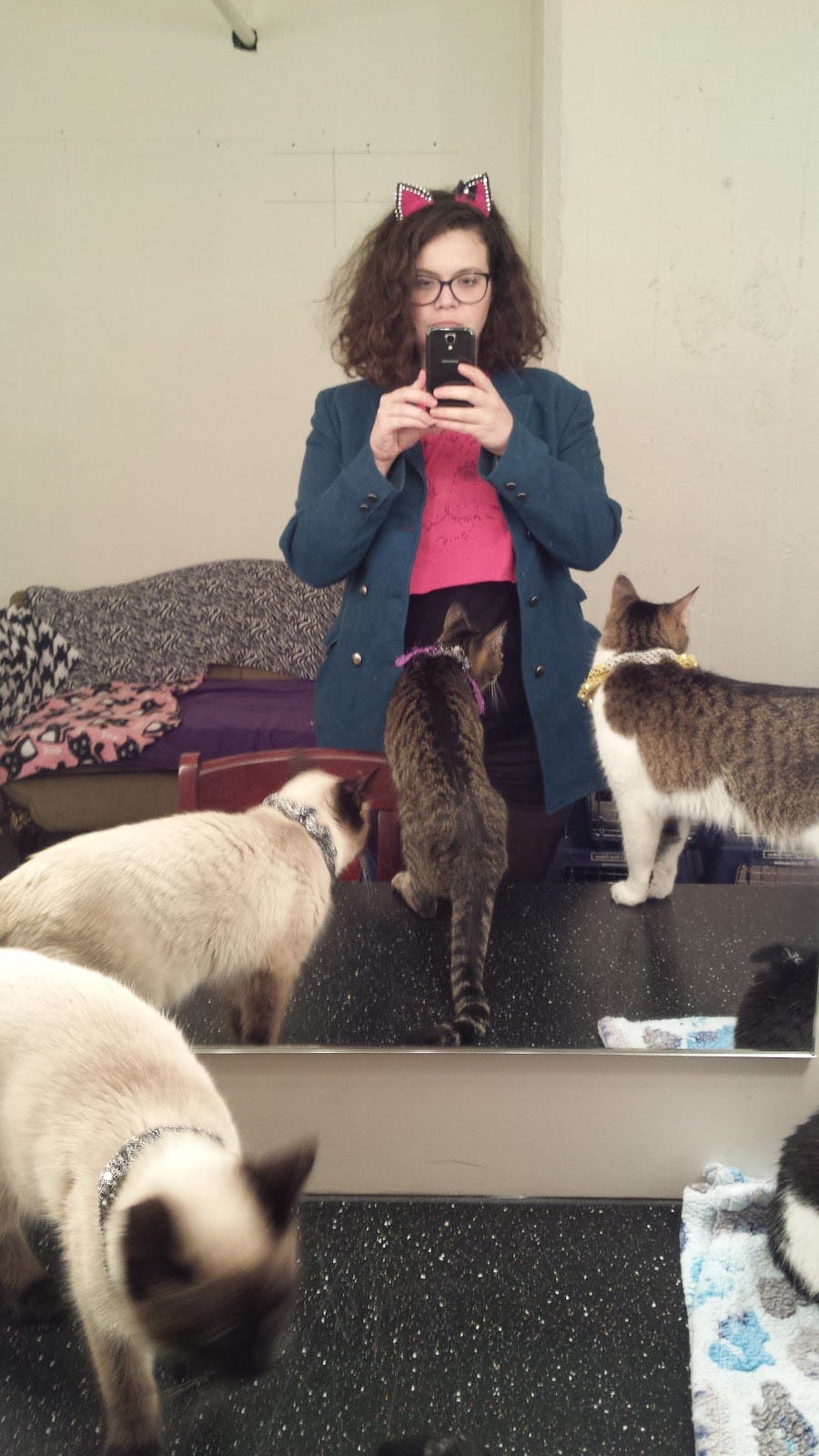 Cats' dressing room