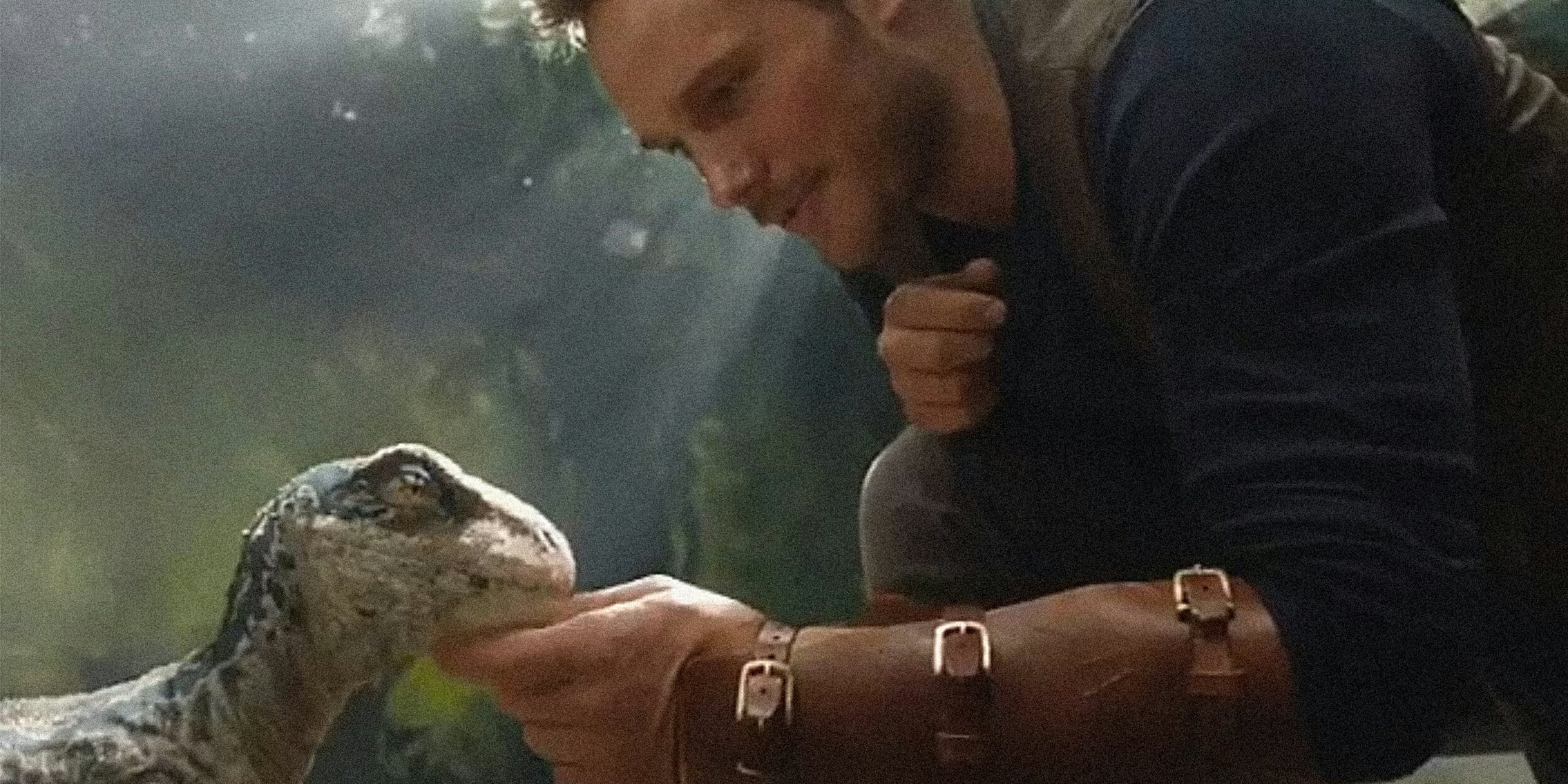 Chris Pratt petting baby velociraptor