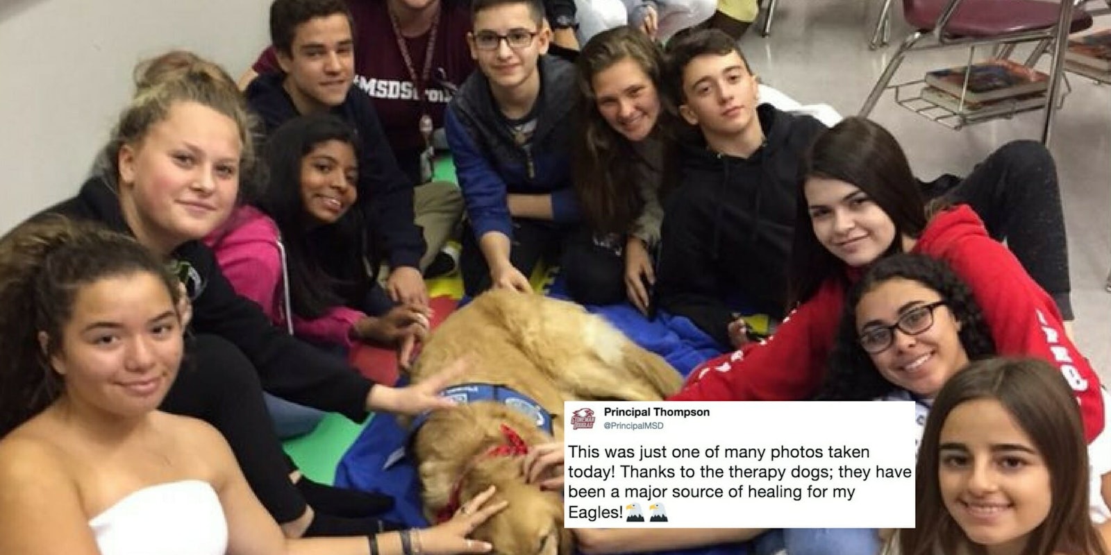 Marjory Stoneman Douglas high school students pet a therapy dog on their first day back after the Parkland, Florida, shooting.