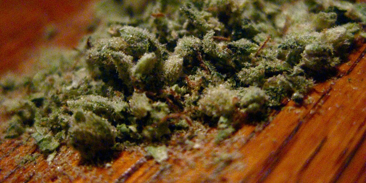 Marijuana dark web