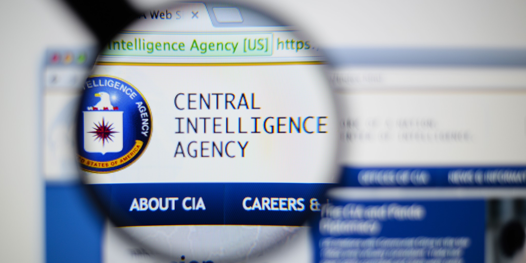 declassified cia papers crack