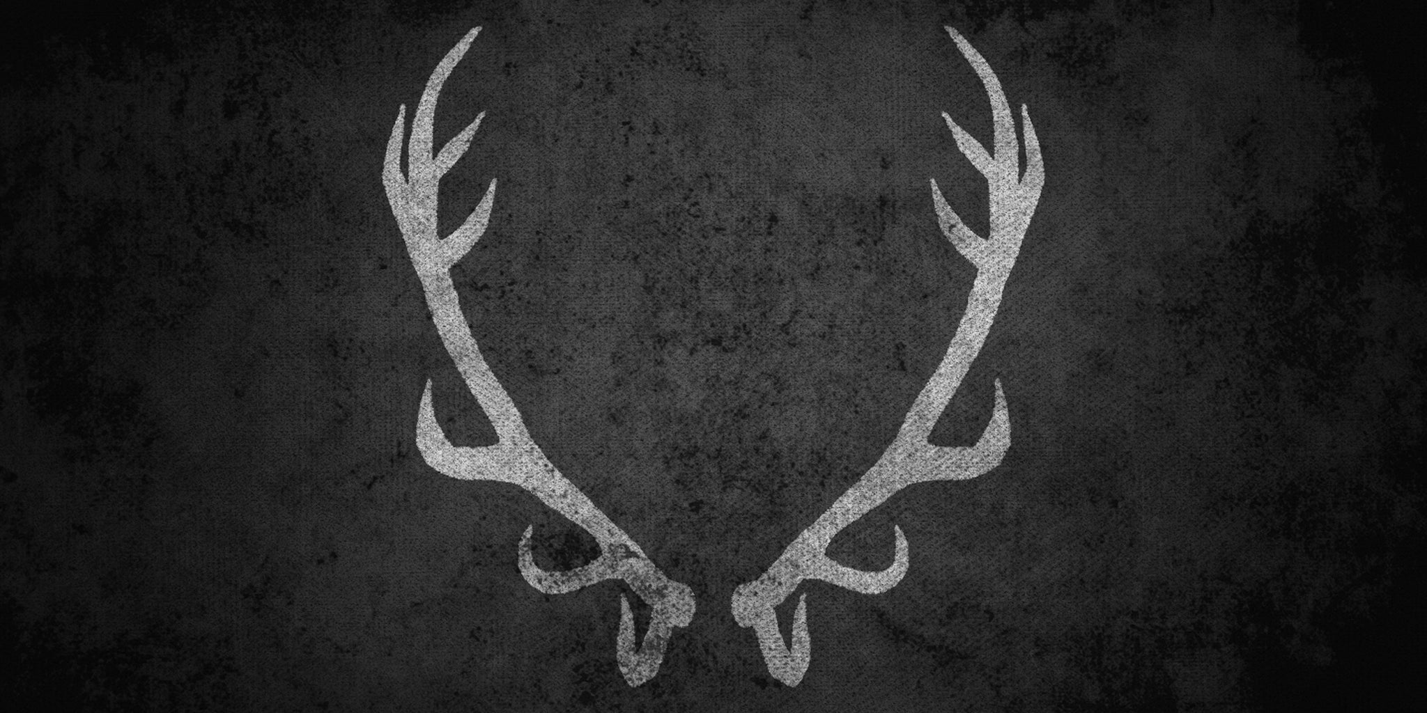 Homepage article image