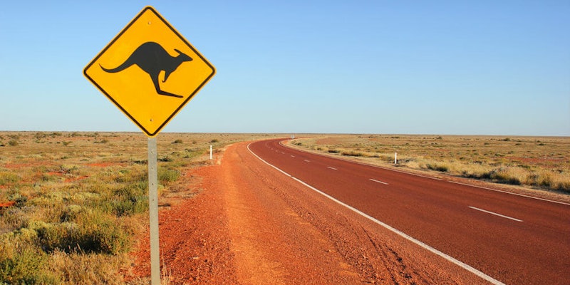 kangaroo road sign