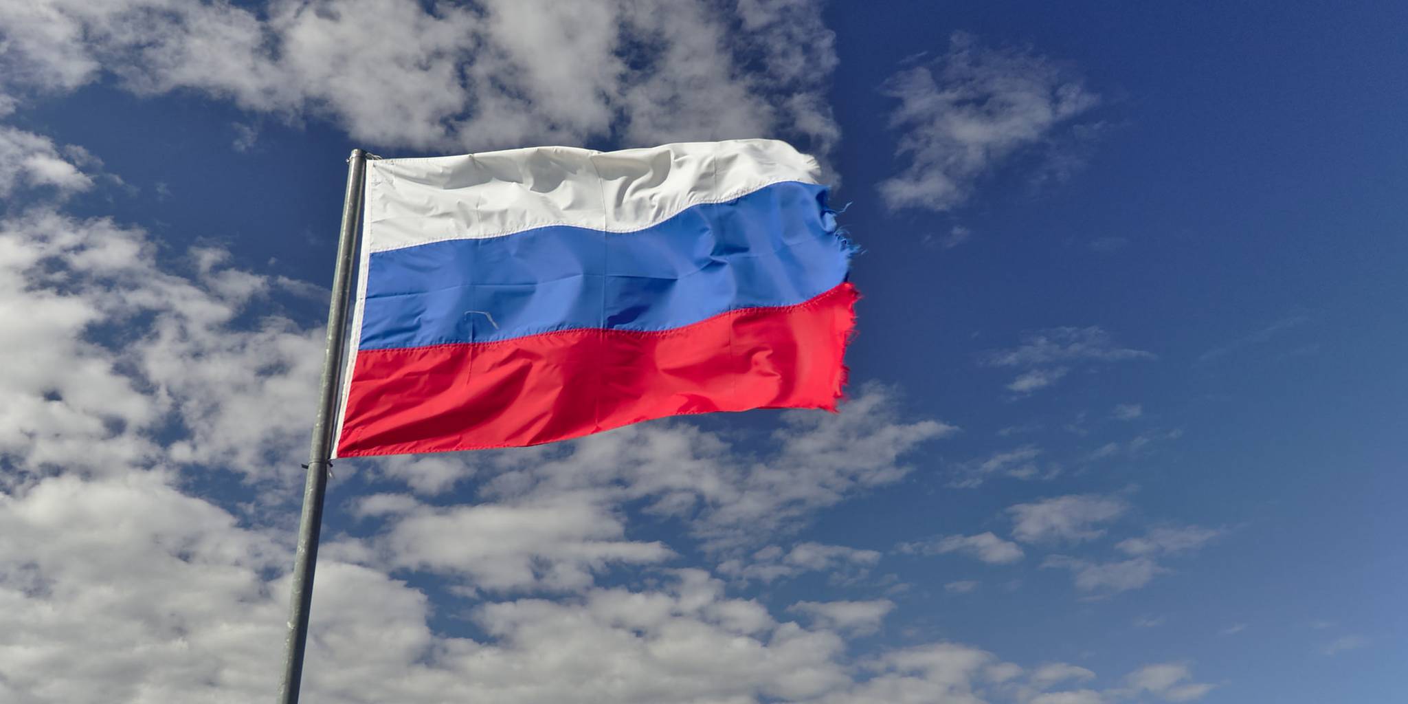 Homepage article image