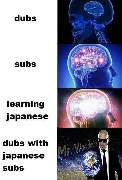 pitbull mr worldwide brain levels anime meme