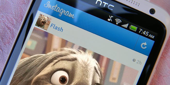 Flash the sloth Instagram account