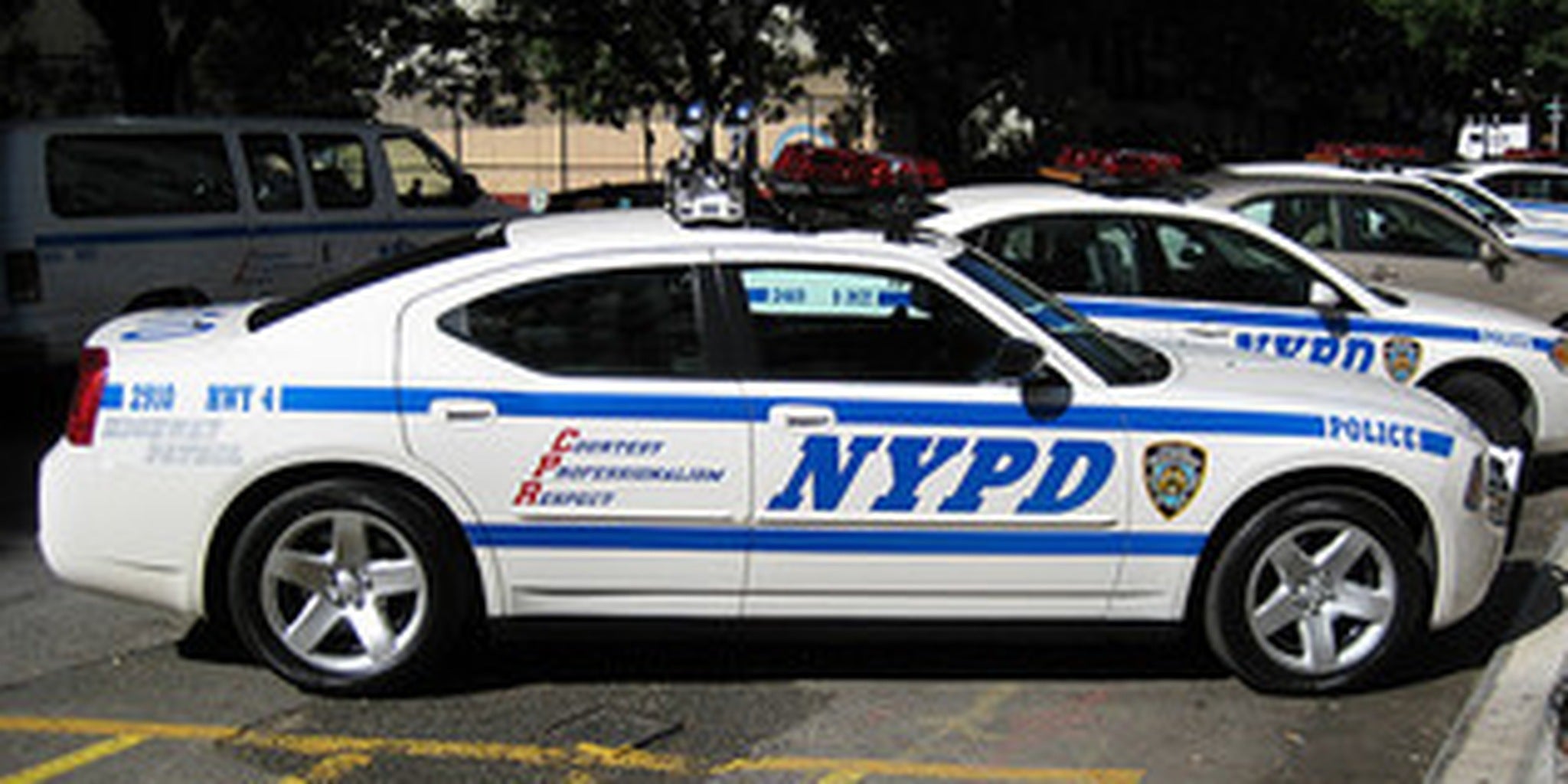 Homepage article image