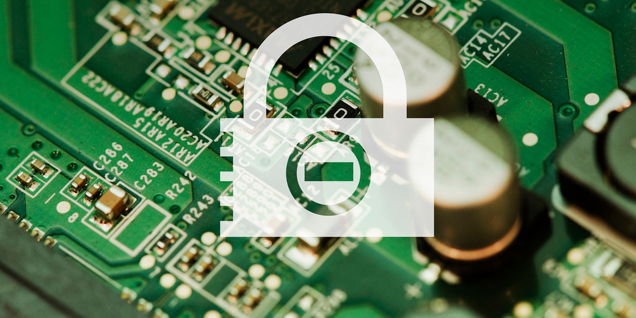 Homepage article image