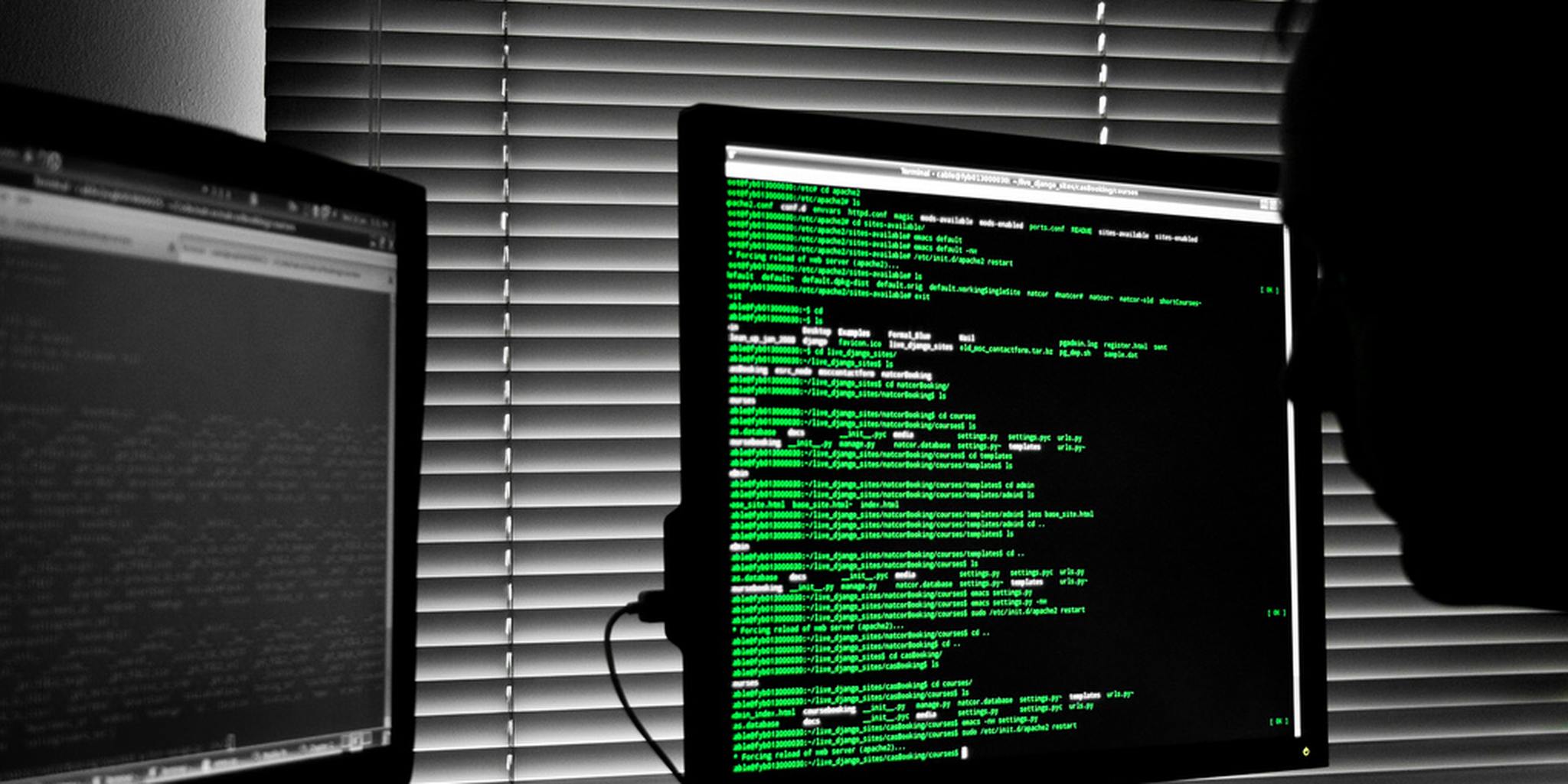 Homepage article image