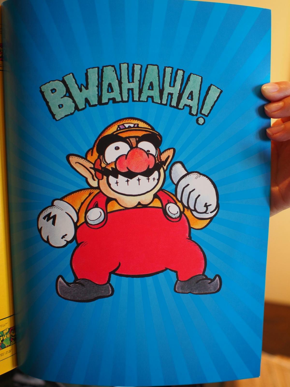 The "W" in Wario must stand for "weird."