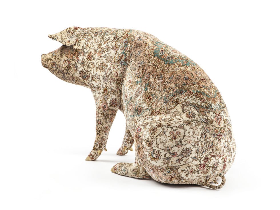 Qom, 2013; Turkish carpet on stuffed pig