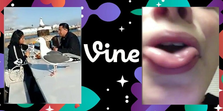 Vine Camera made a comeback with weird, sad videos in 2017