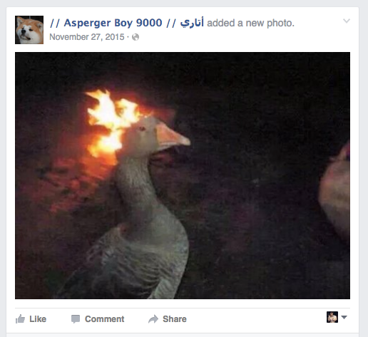 This Flaming Goose Meme Is So Lit That Facebook Is Actually Censoring It The Daily Dot This Flaming Goose Meme Is So Lit That Facebook Is Actually Censoring It The Daily Dot