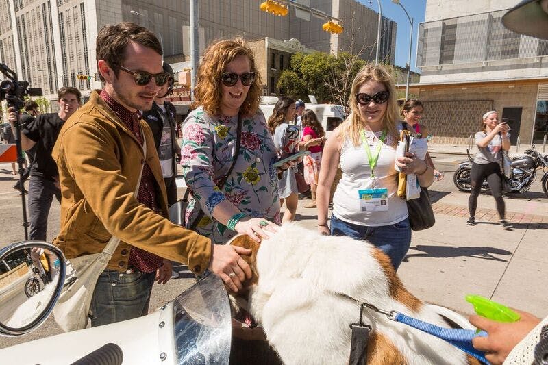 In another timeline, Elijah Wood and I both reach over to pet the same Saint Bernard in a sidecar, and we giggle as our hands collide and crash into soft dog fur, our hearts forever changed.