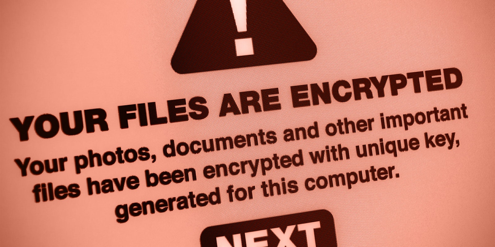'Your files are encrypted' malware warning