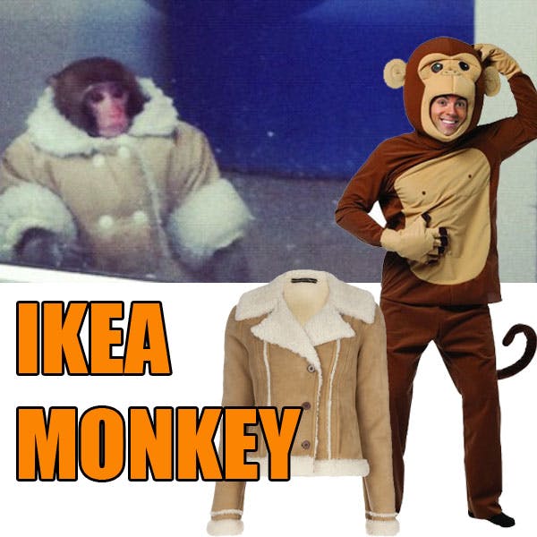 IKEA Monkey  Know Your Meme