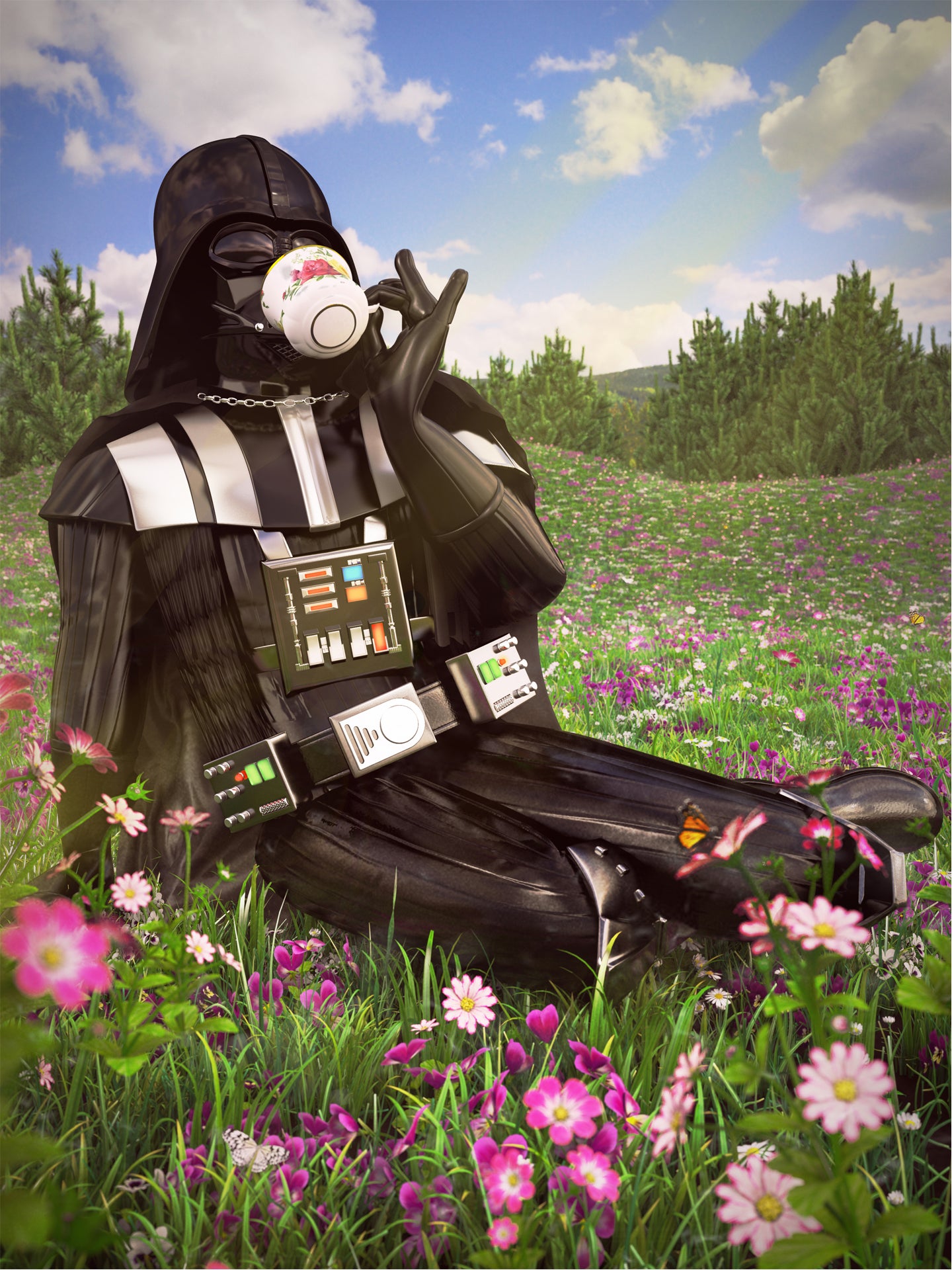 The Old English Rose china pattern really goes with the Durasteel helmet, Darth.