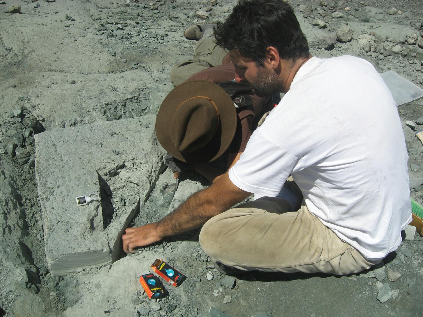 Excavation of a Chilesaurus skeleton from beds in the Toqui Formation, Southern Andes, Chile