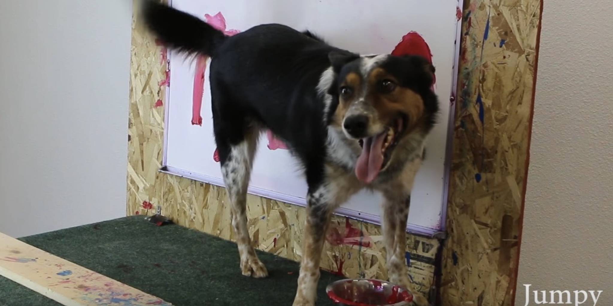 Homepage article image