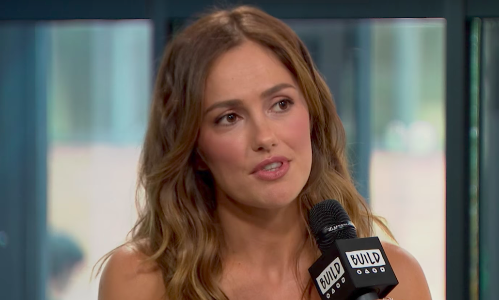 minka kelly harvey weinstein