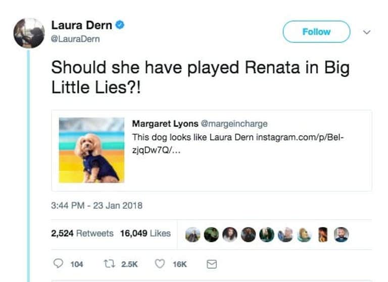 dog that looks like laura dern twitter