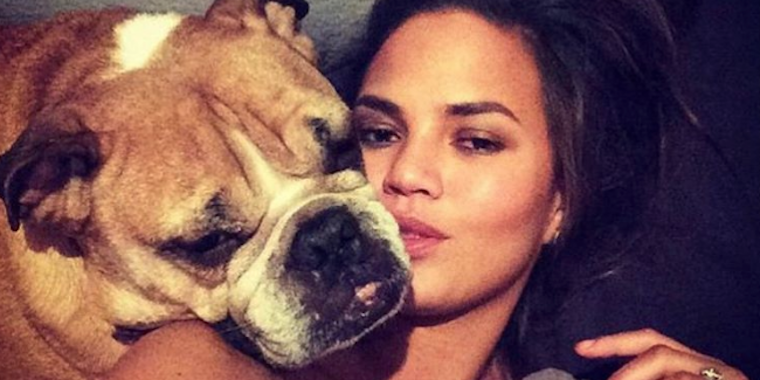 Chrissy Teigen lounges on a bed for a selfie with her English bulldog Puddy