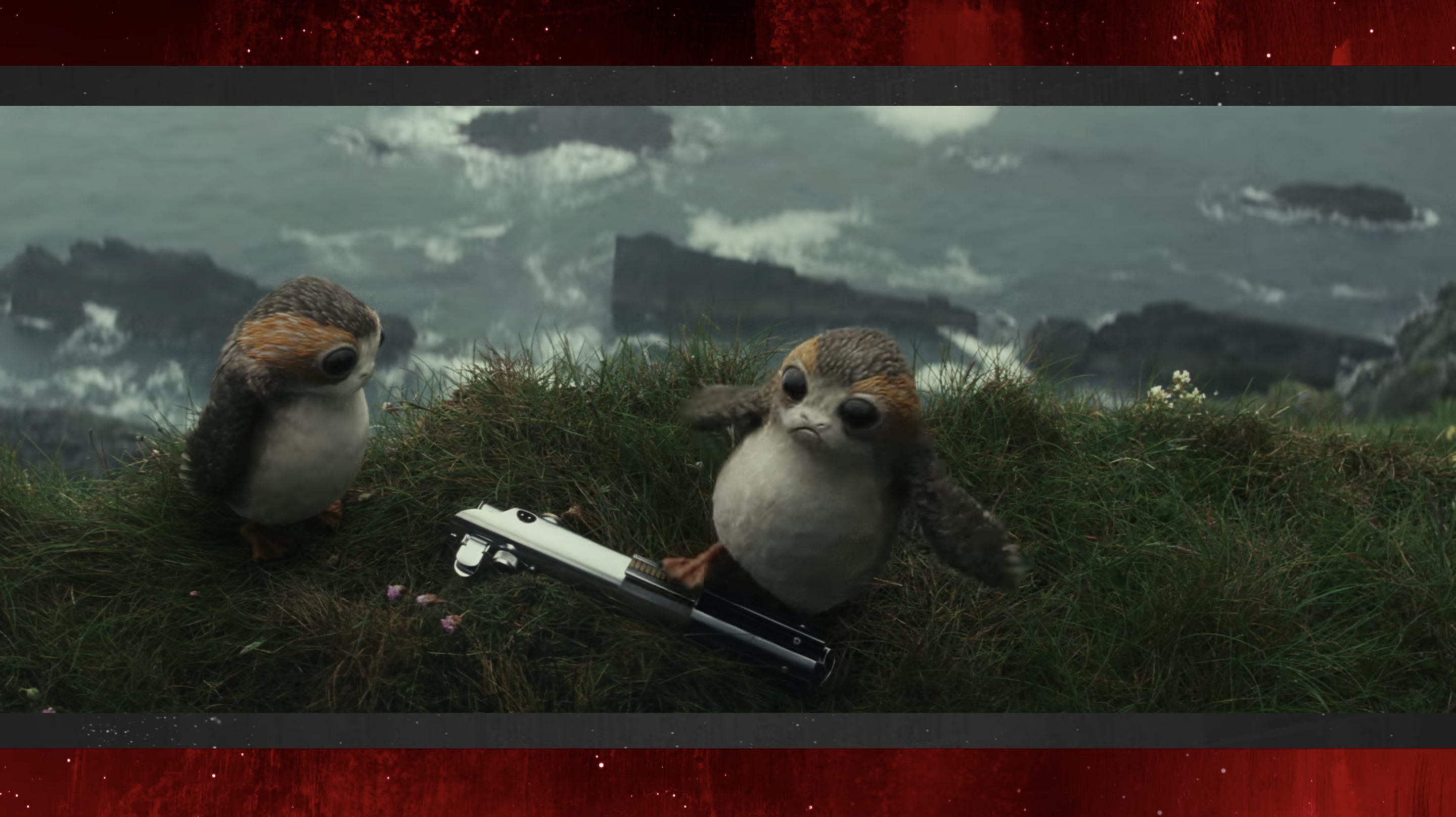 male porgs