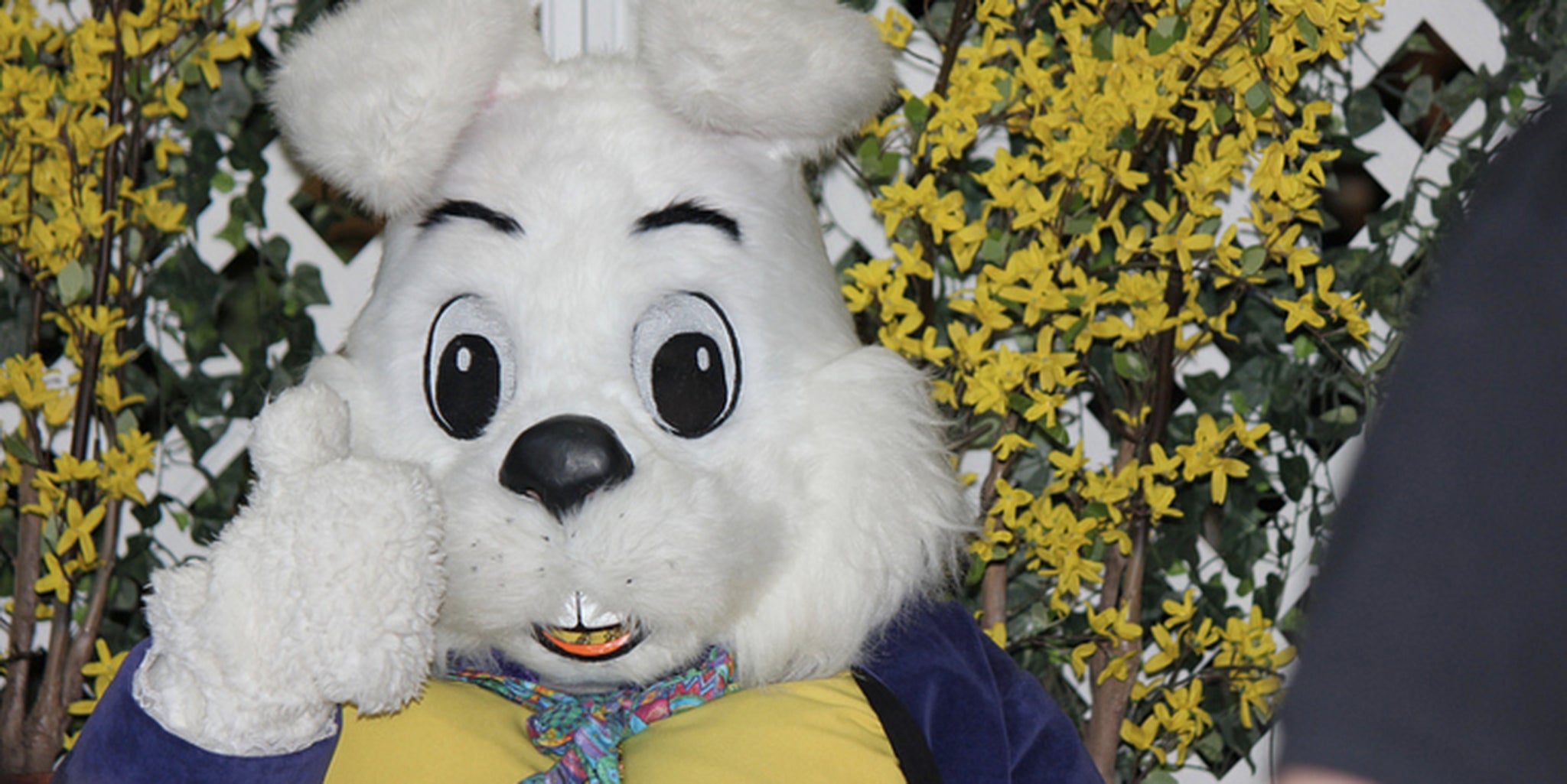 Easter Bunny punches shoppers in absurd New Jersey mall brawl