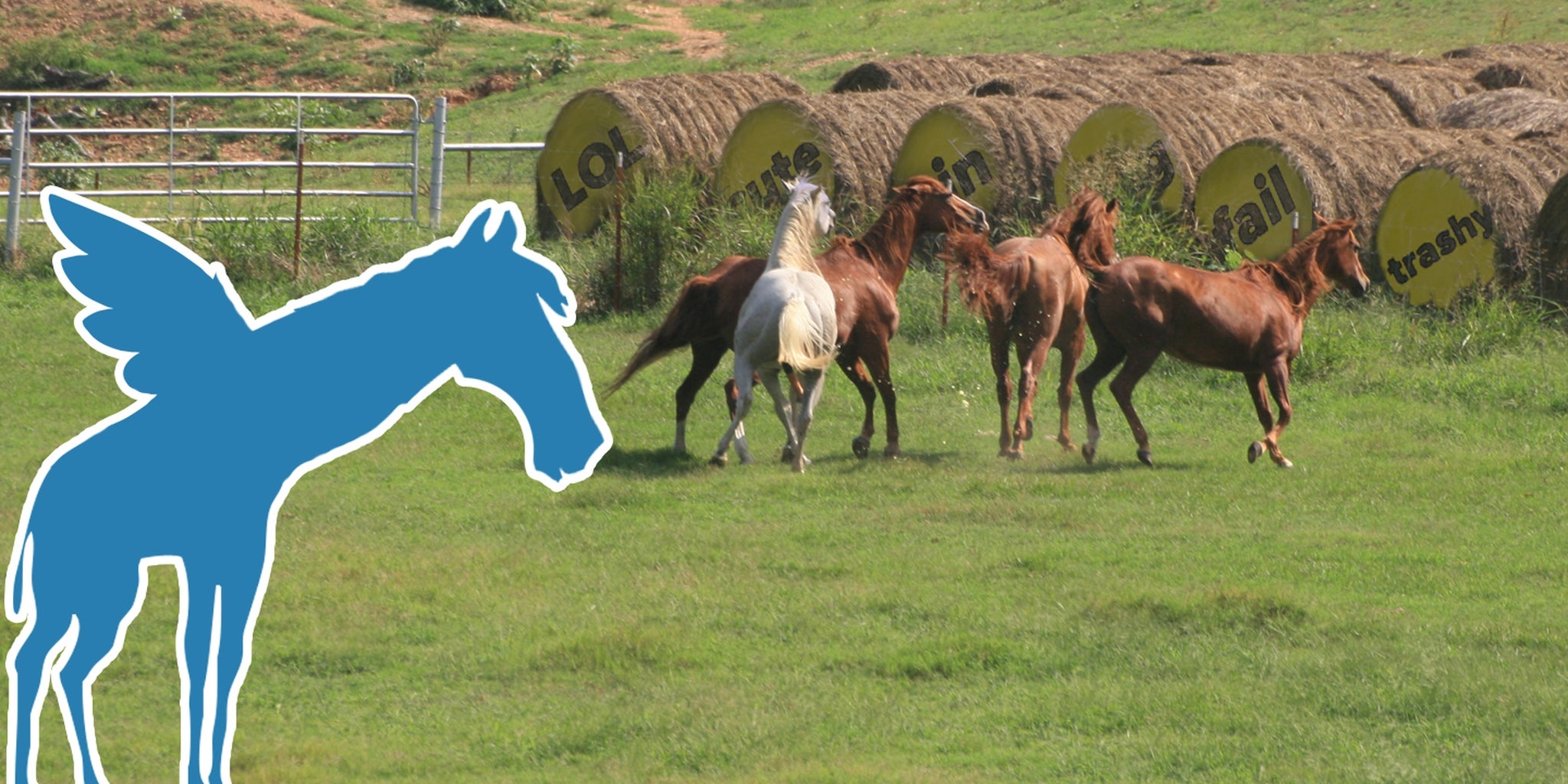 Homepage article image