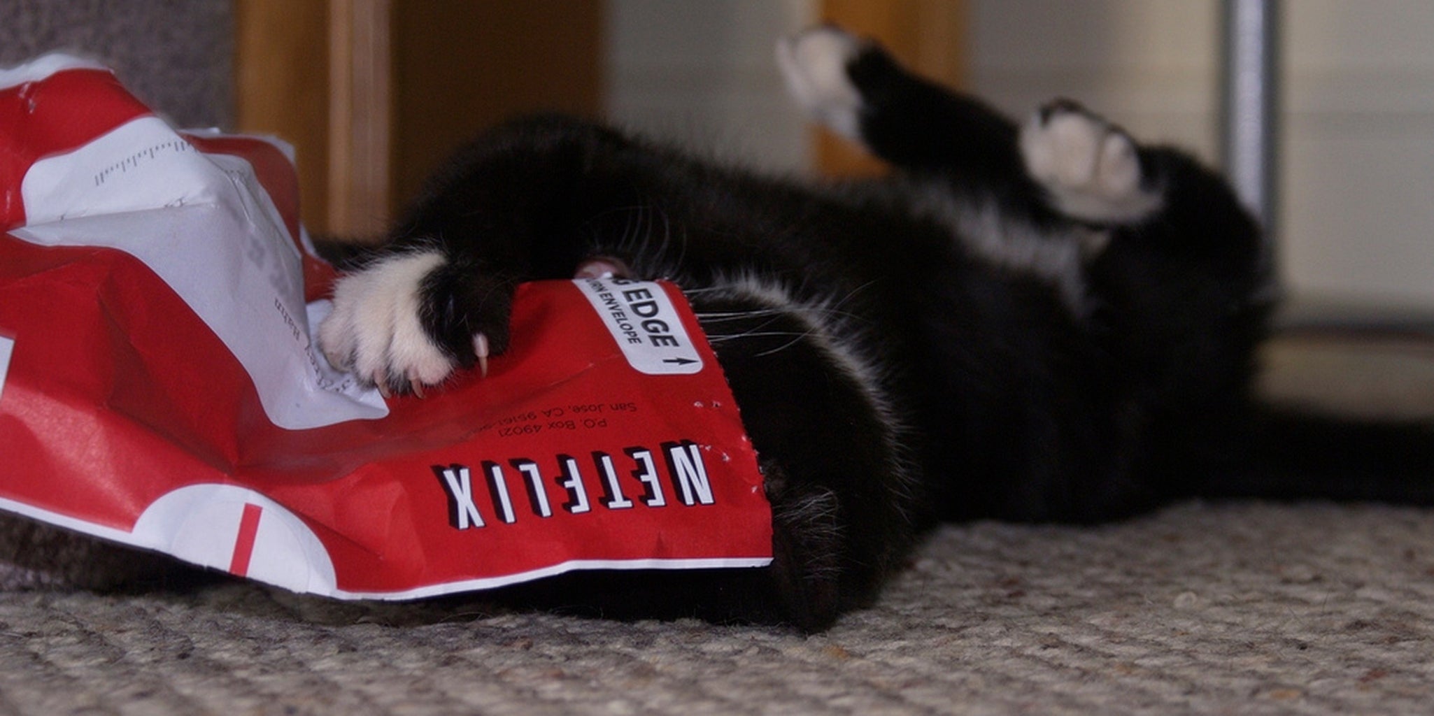 Homepage article image