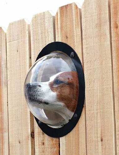 petpeek fence window