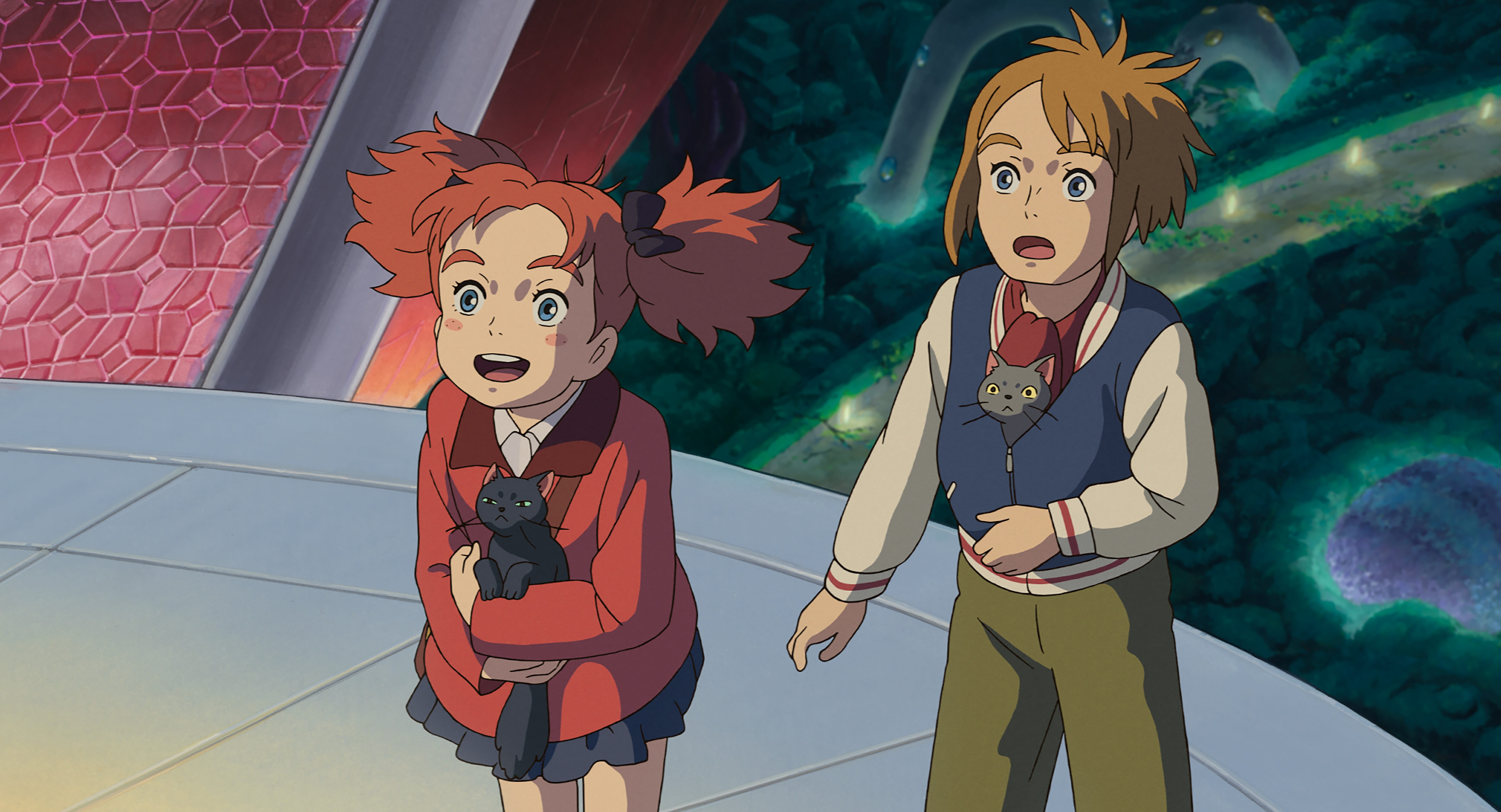 mary and the witch's flower