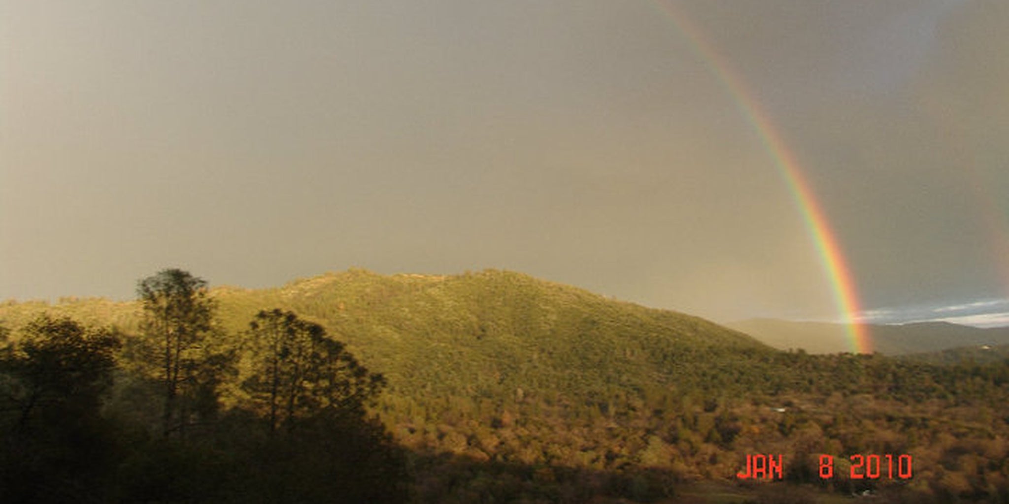 Homepage article image