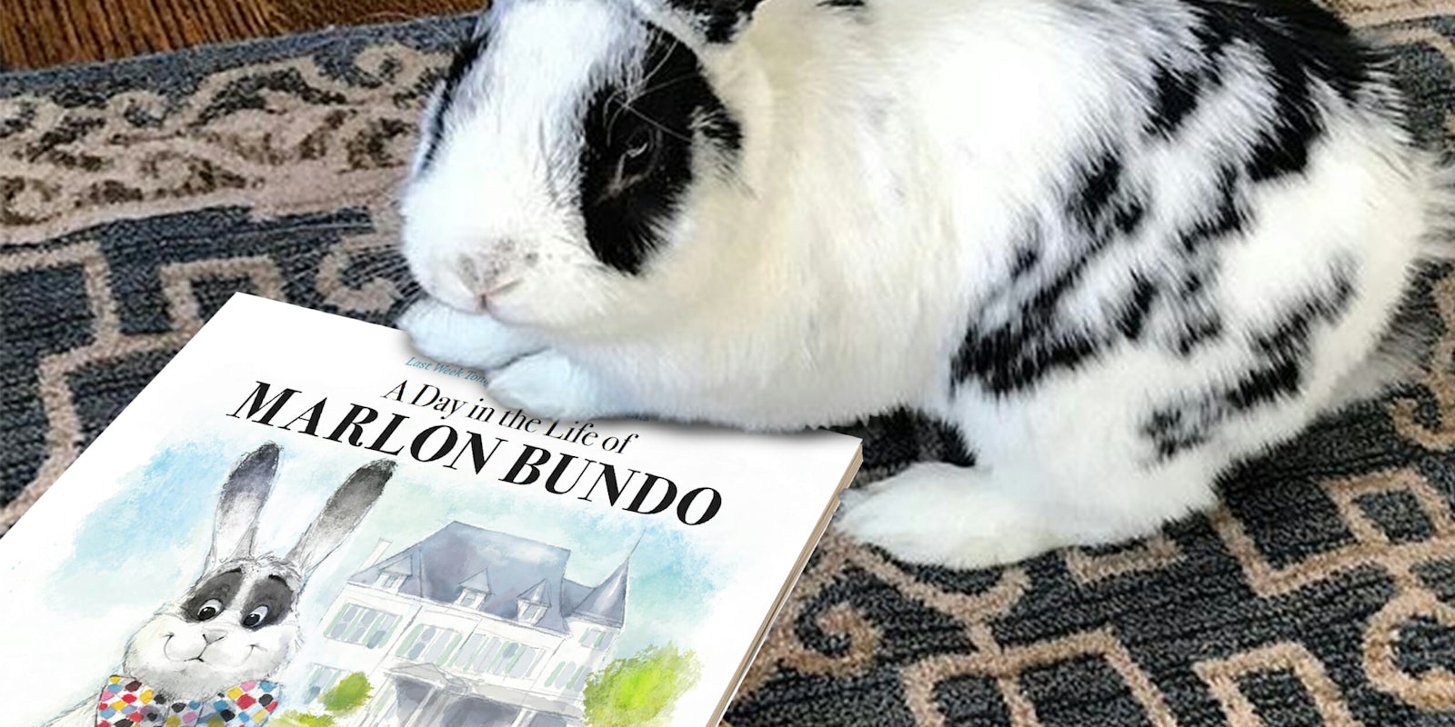Bunny holding Marlon Bundo book