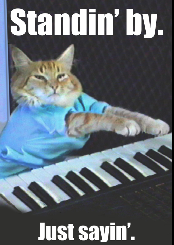 The Life and Times of Keyboard Cat, Everyone's Favorite Fail Meme