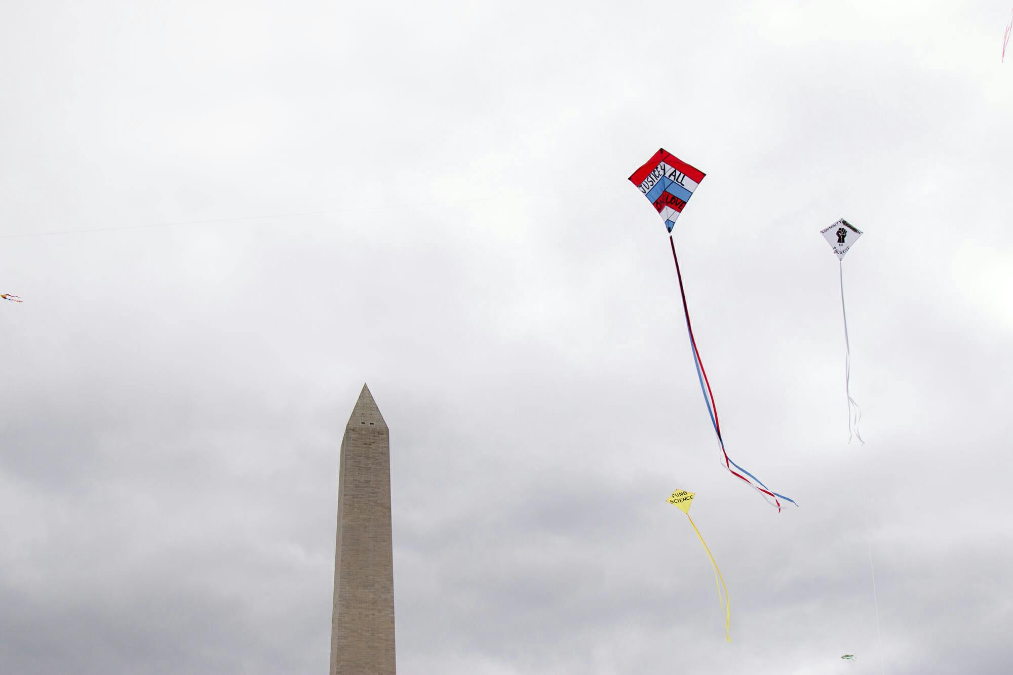 Love Flies High protest at Washington Monument