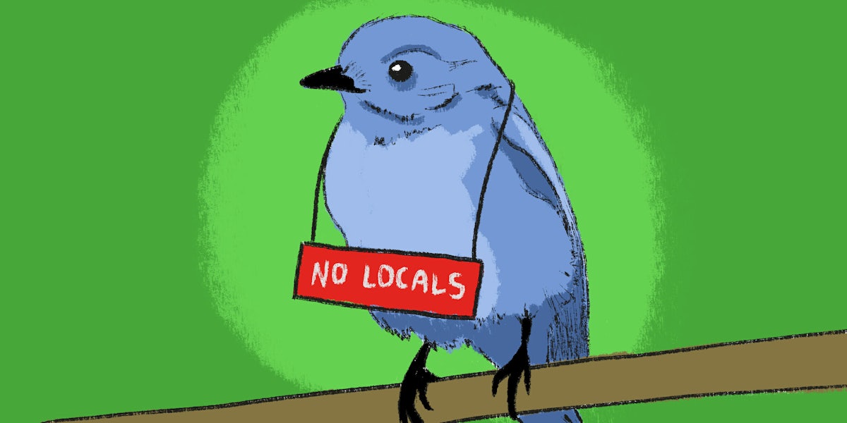 No Locals Twitter