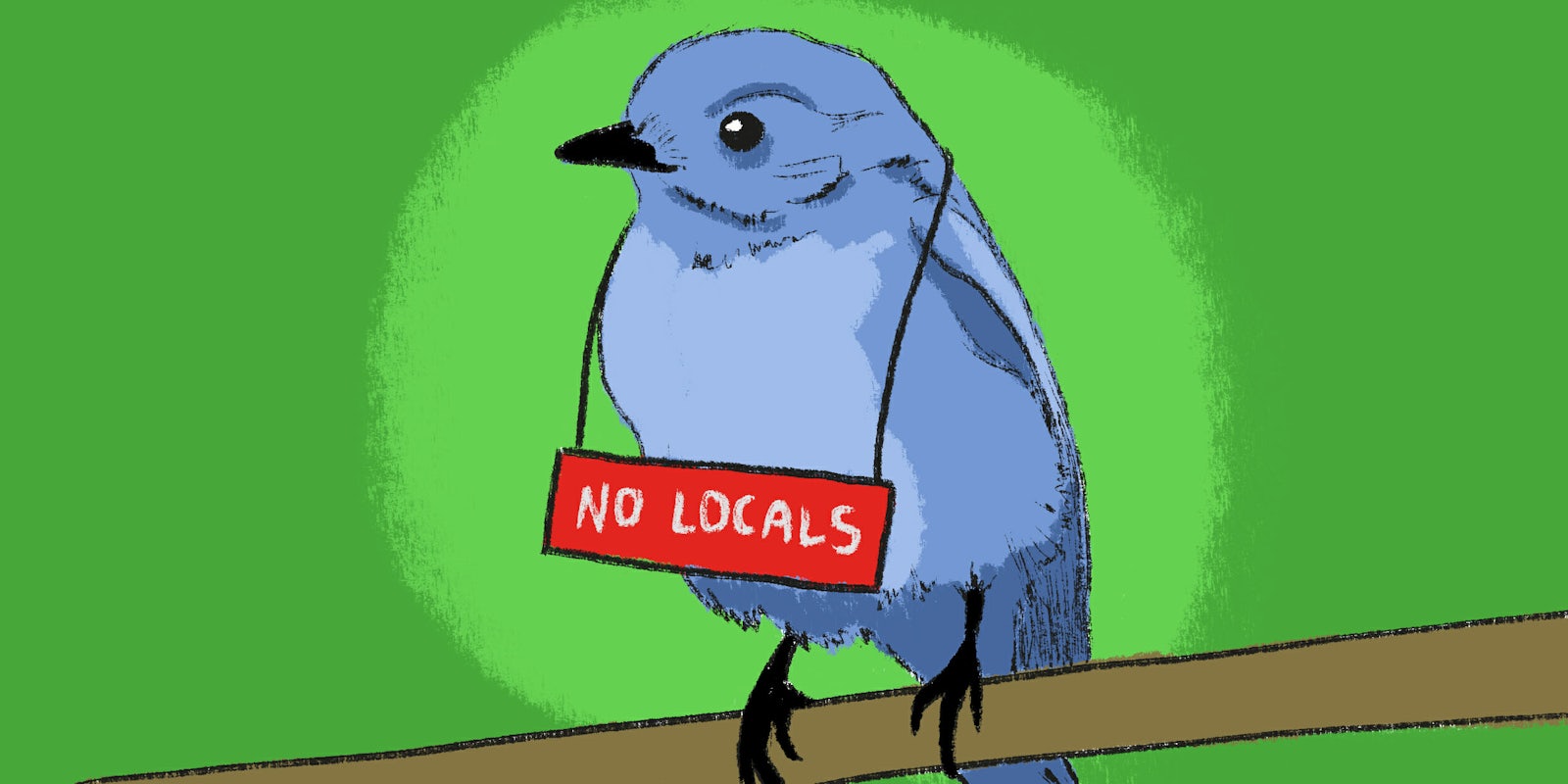 No Locals Twitter