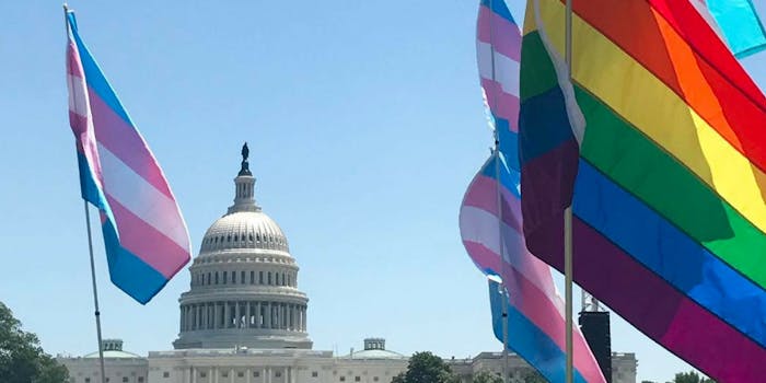Trans pride and Gay pride flags in front of the U.S. capitol