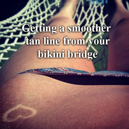 4chan launches social media campaign in support of the bikini bridge